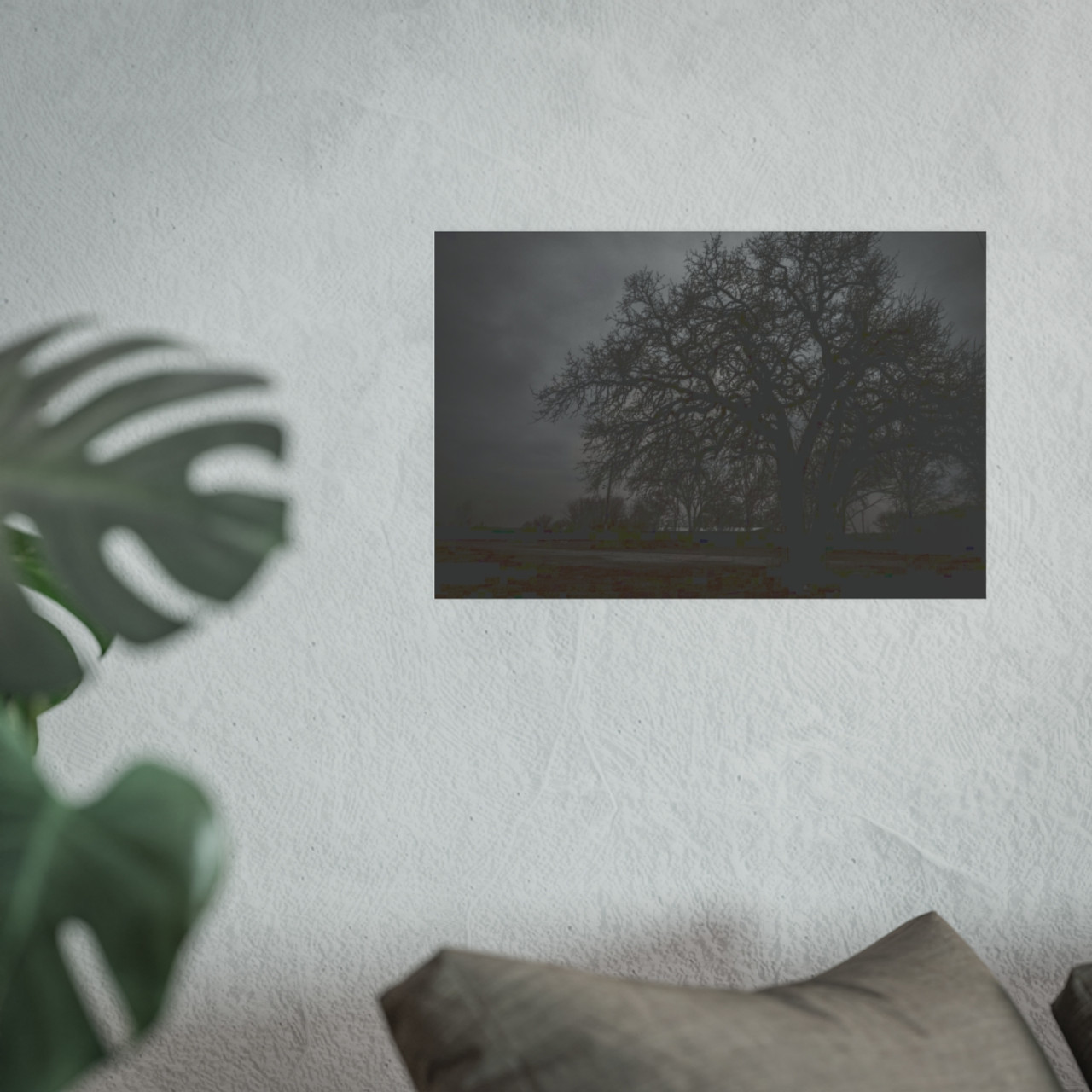 Haunted Oak - Photographic Print