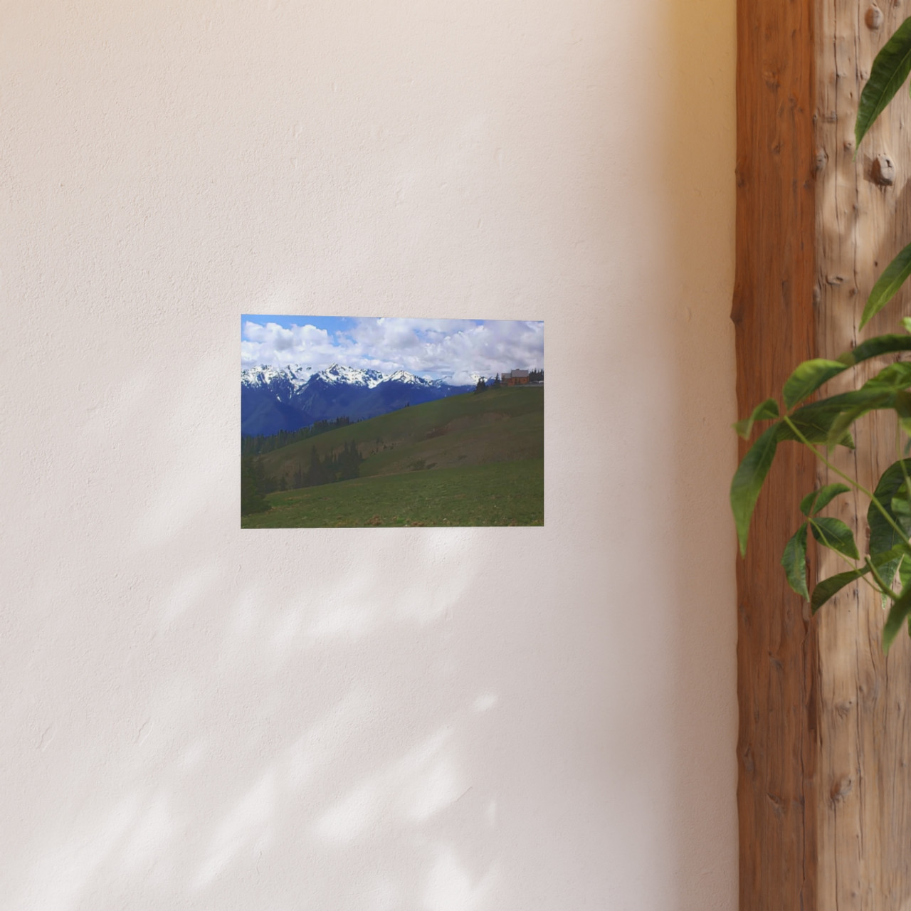 Washington Countryside - Photographic Print