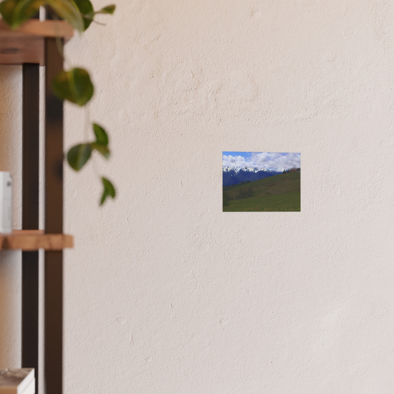 Washington Countryside - Photographic Print