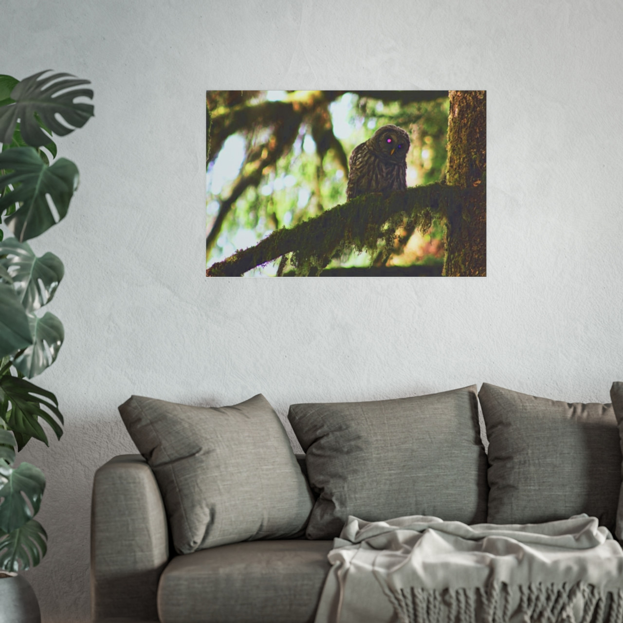 Watchful Kami - Photographic Print