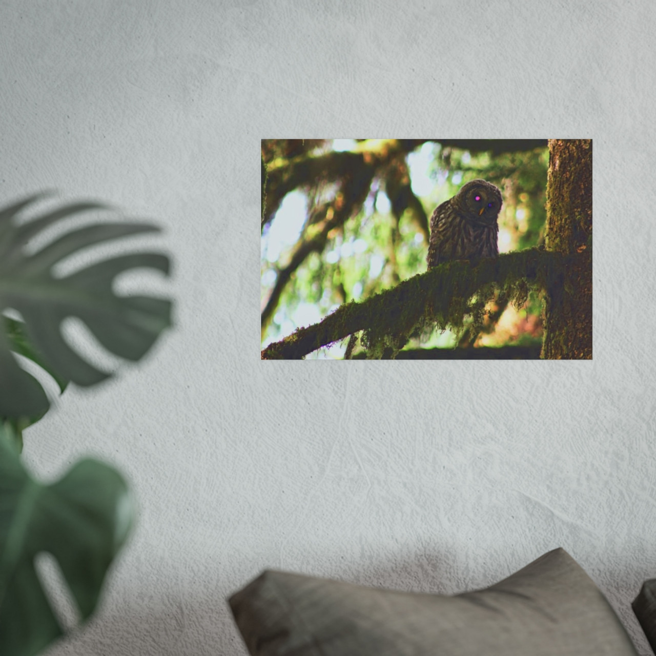 Watchful Kami - Photographic Print