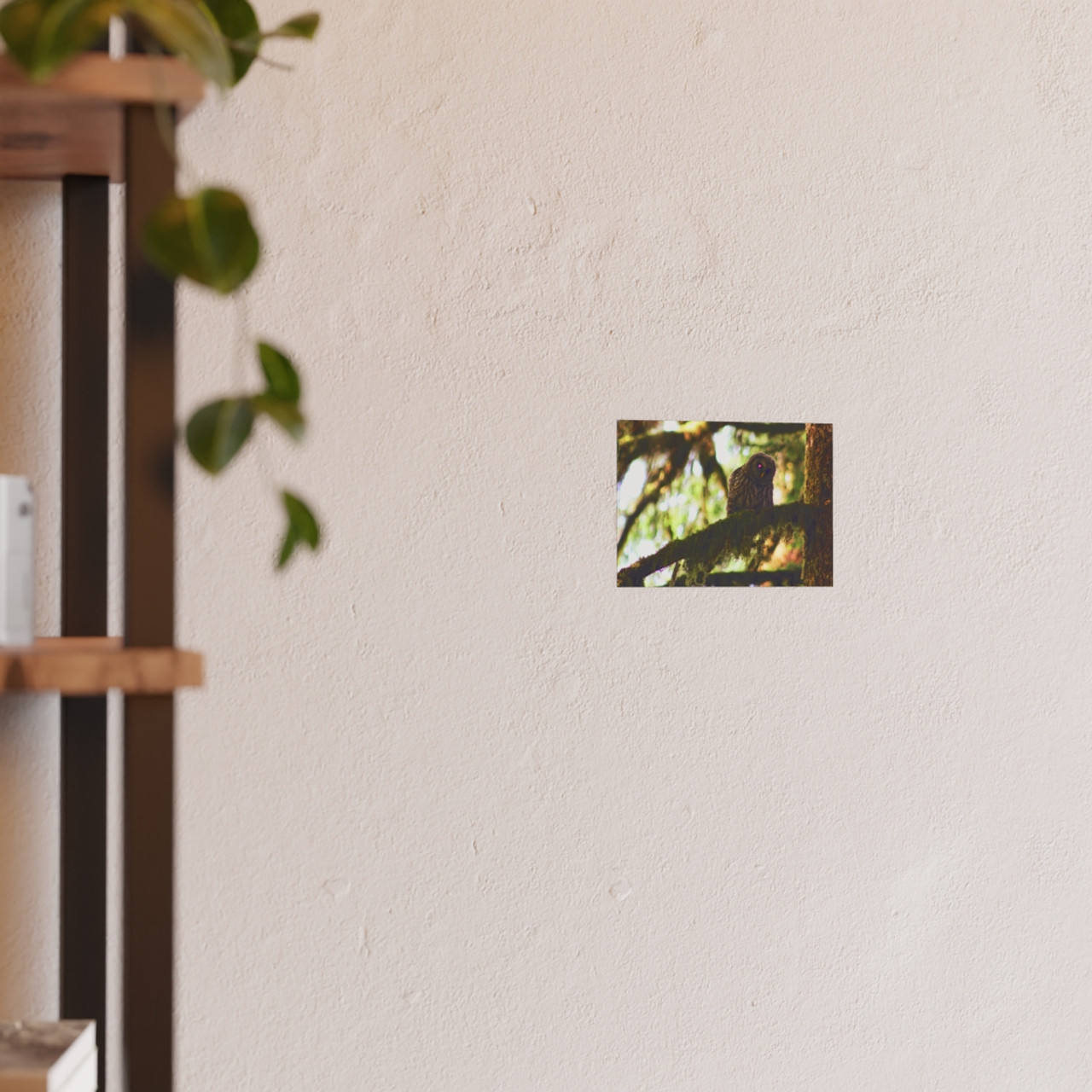 Watchful Kami - Photographic Print