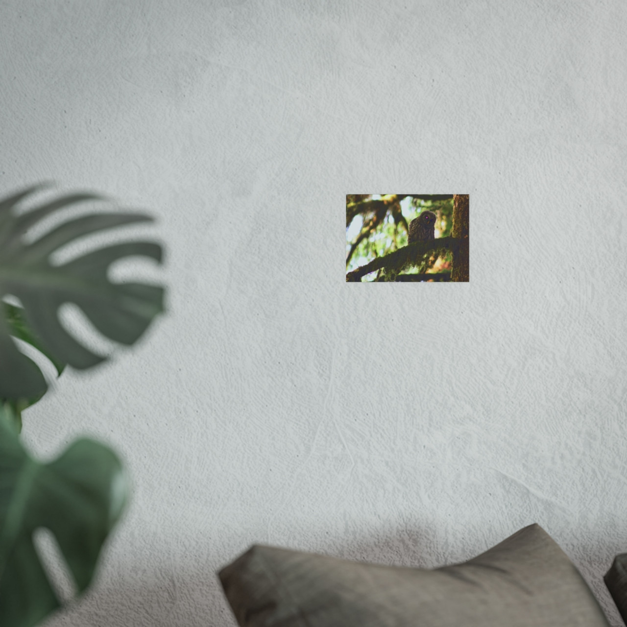 Watchful Kami - Photographic Print