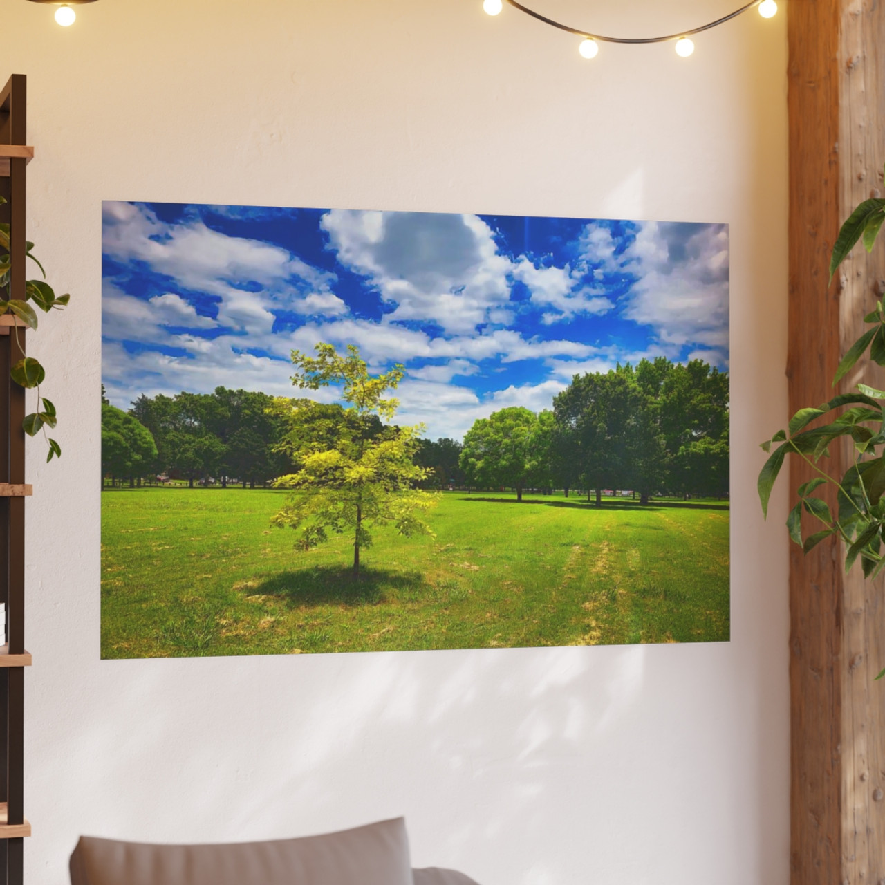 Sunny Day - Photographic Print