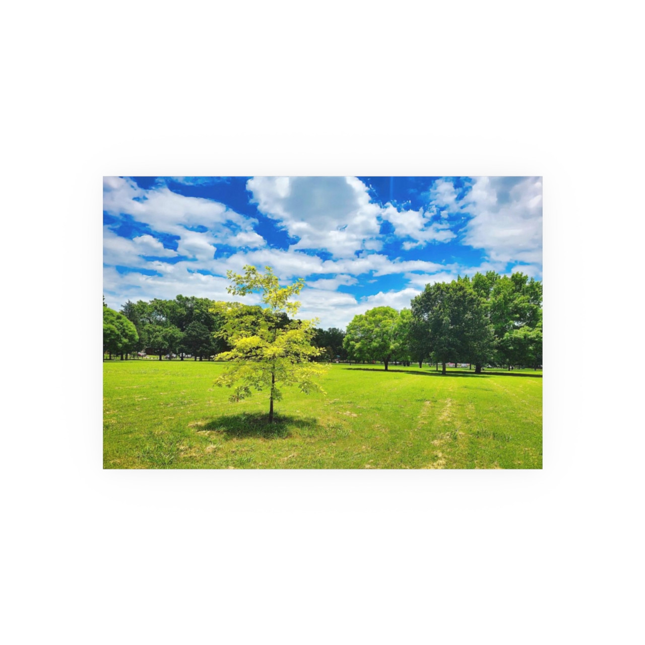 Sunny Day - Photographic Print