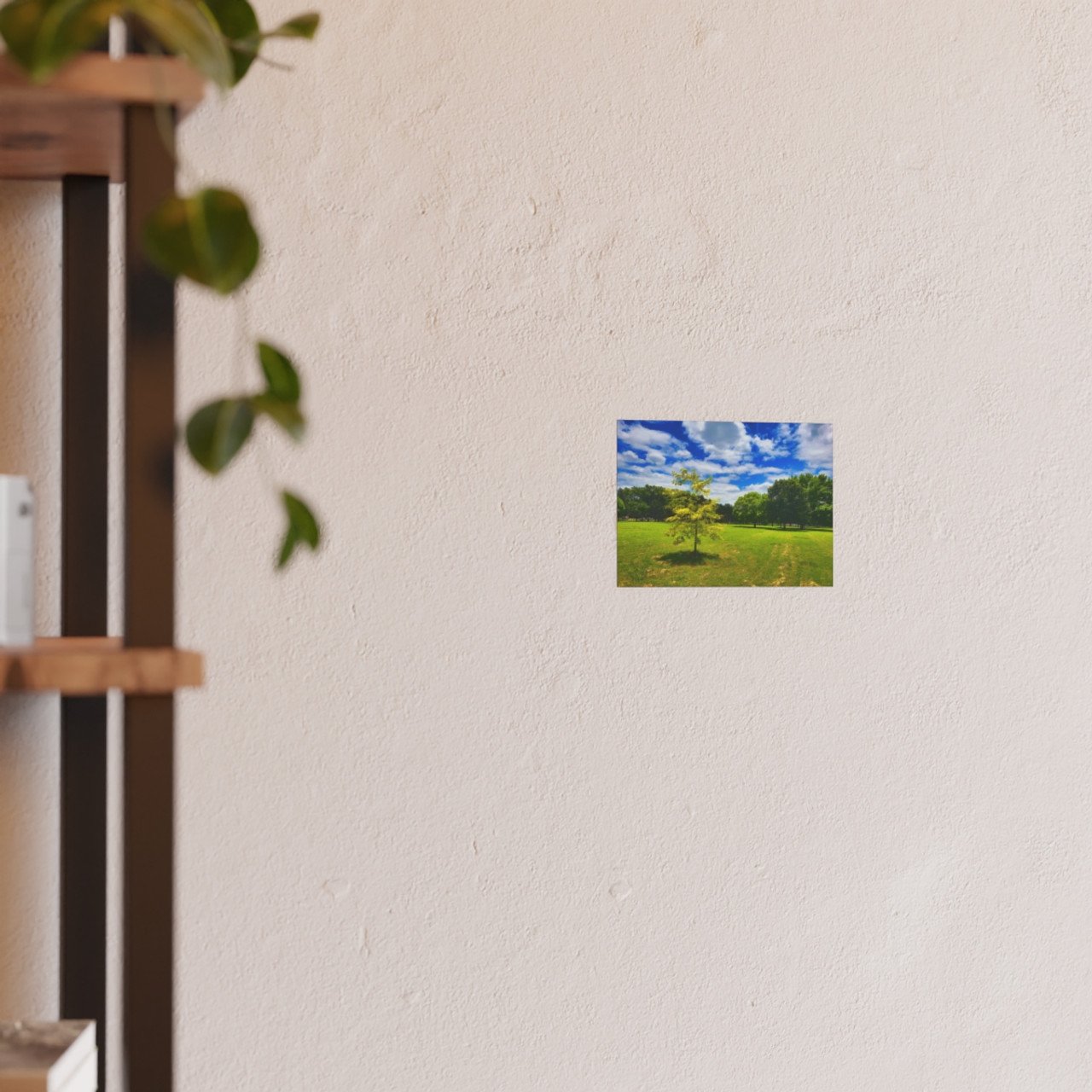 Sunny Day - Photographic Print