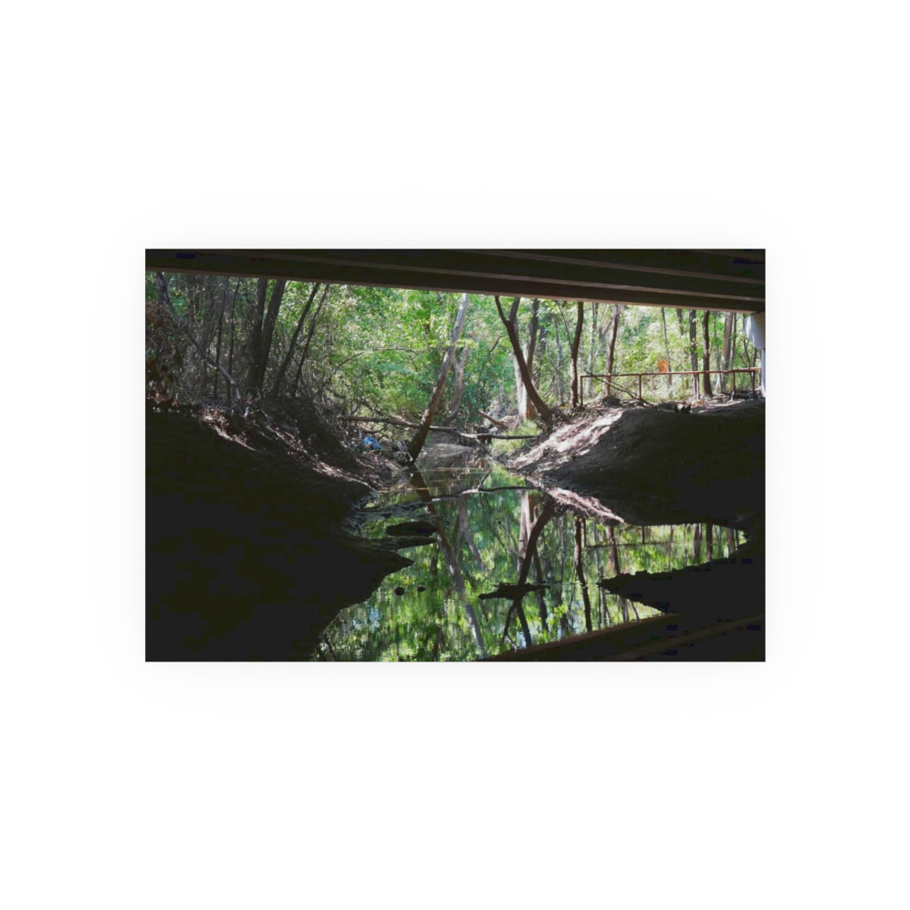 Under the Bridge - Photographic Print