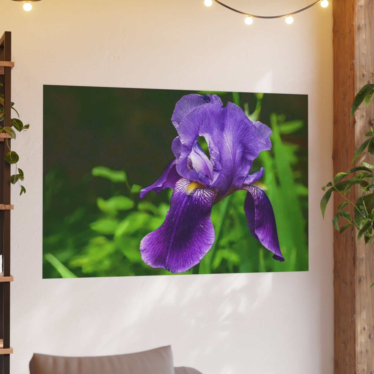 Violet Iris - Photographic Print