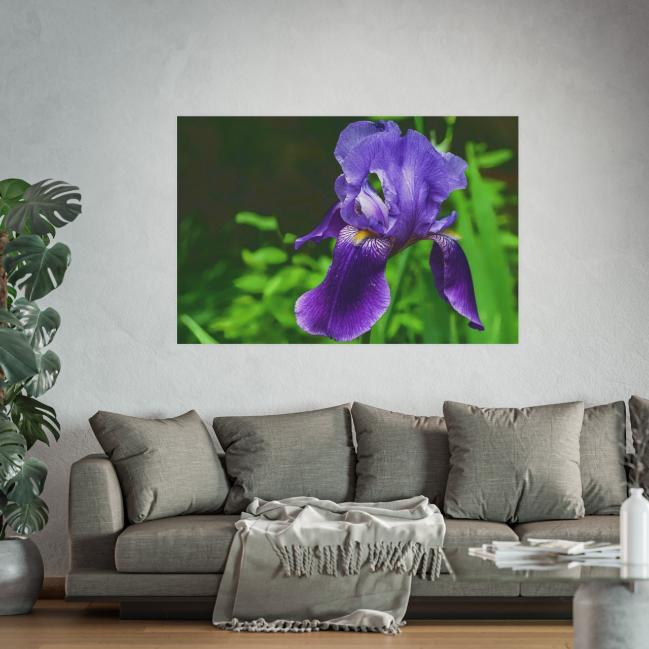 Violet Iris - Photographic Print