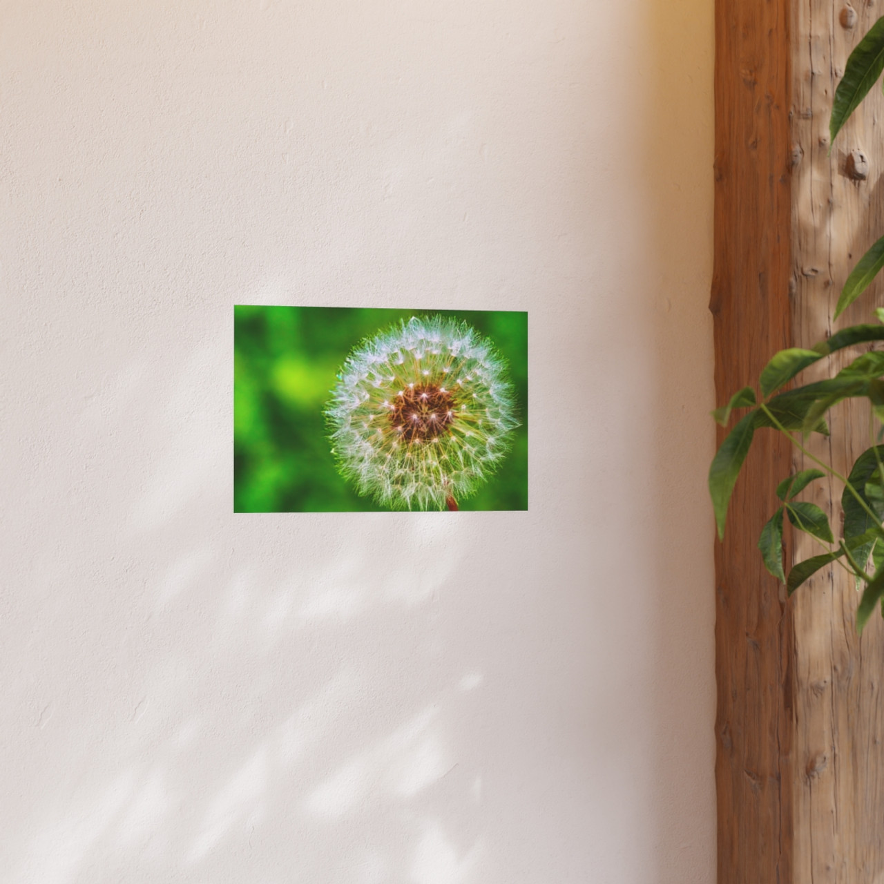 Ready to Start Over - Photographic Print