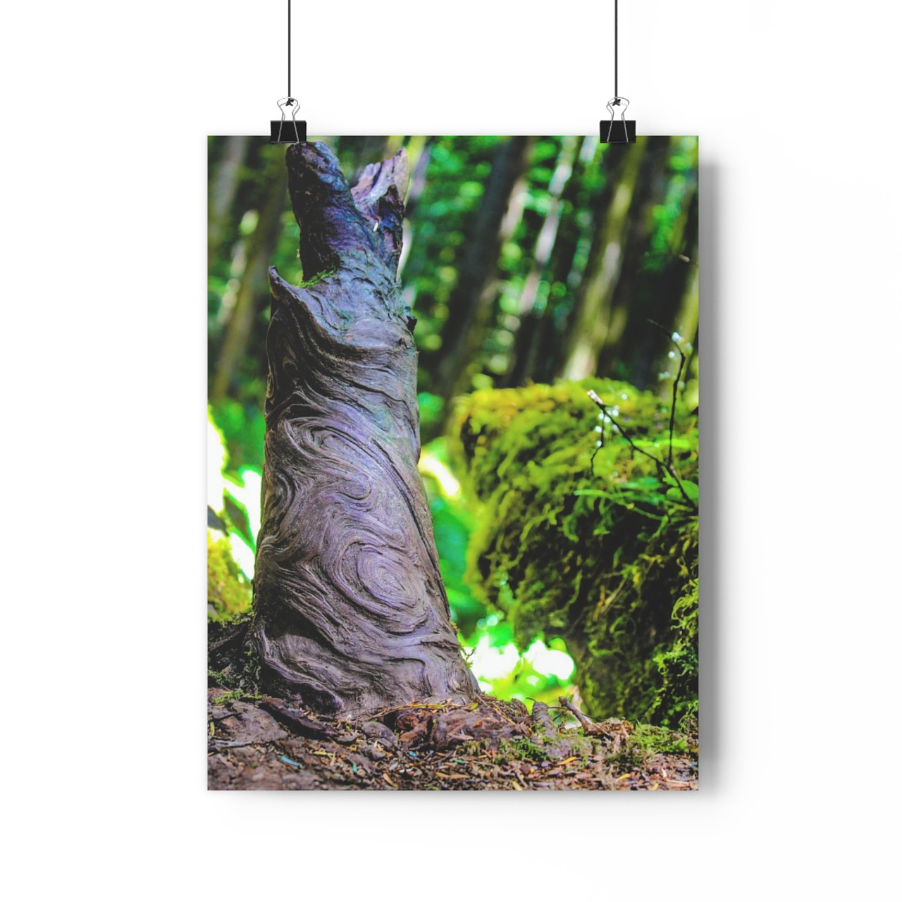 I Am Root - Giclee-Printed Fine Art Photographic Print on Museum Grade Paper