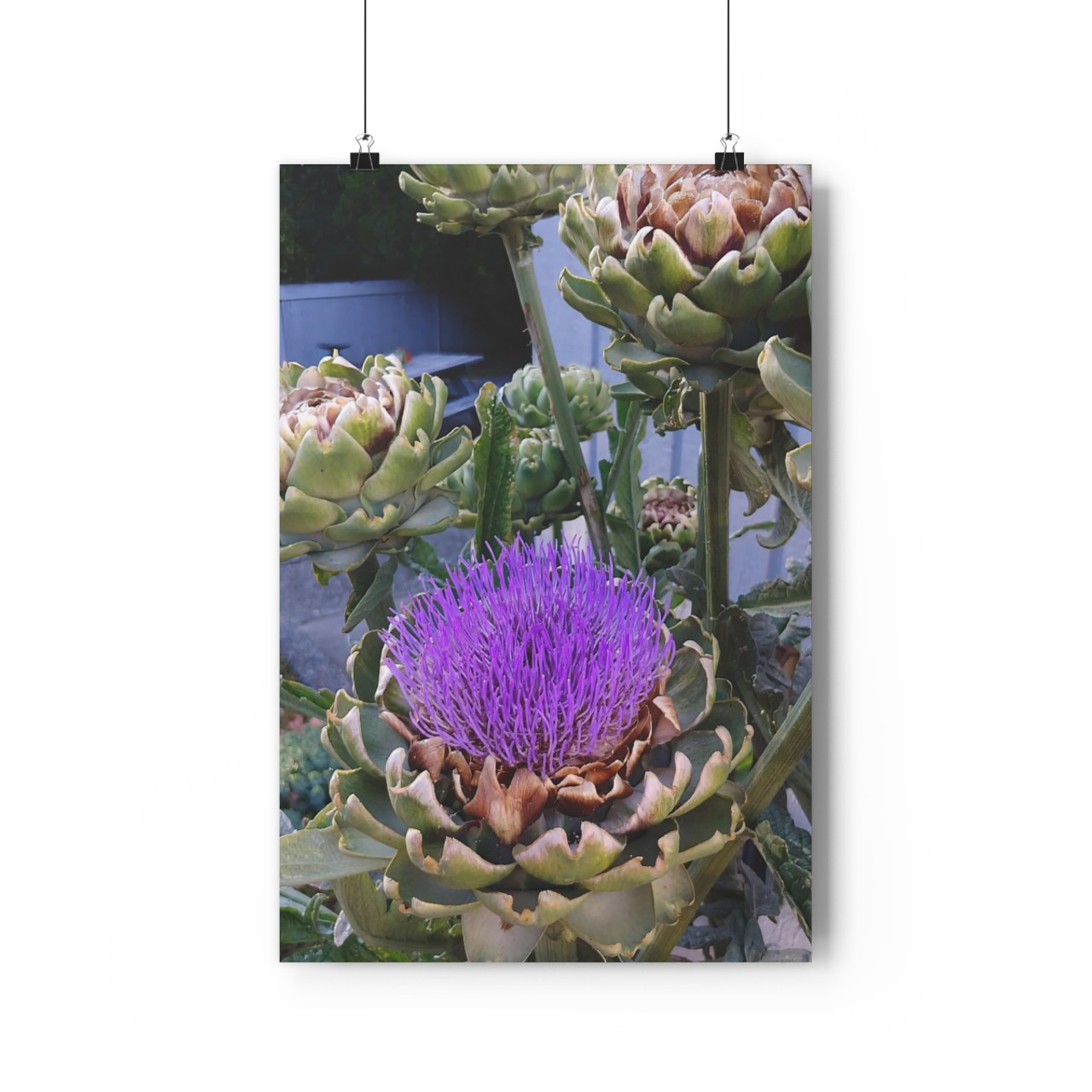 Don't Choke - Giclee-Printed Fine Art Photographic Print on Museum Grade Paper
