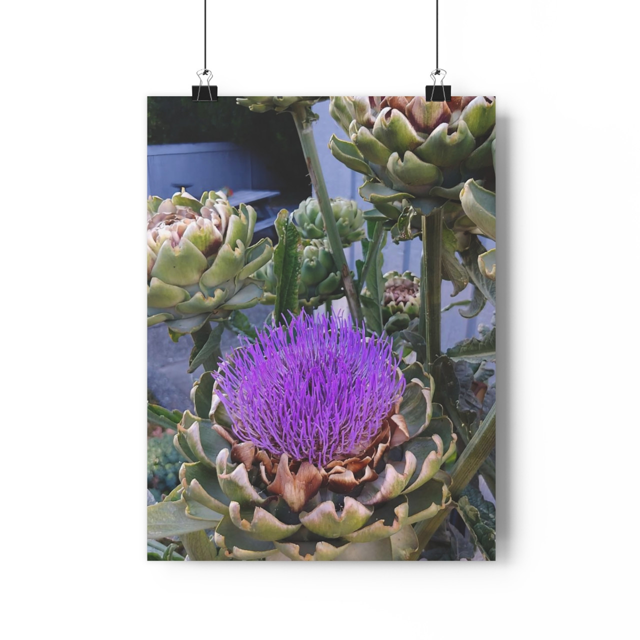 Don't Choke - Giclee-Printed Fine Art Photographic Print on Museum Grade Paper