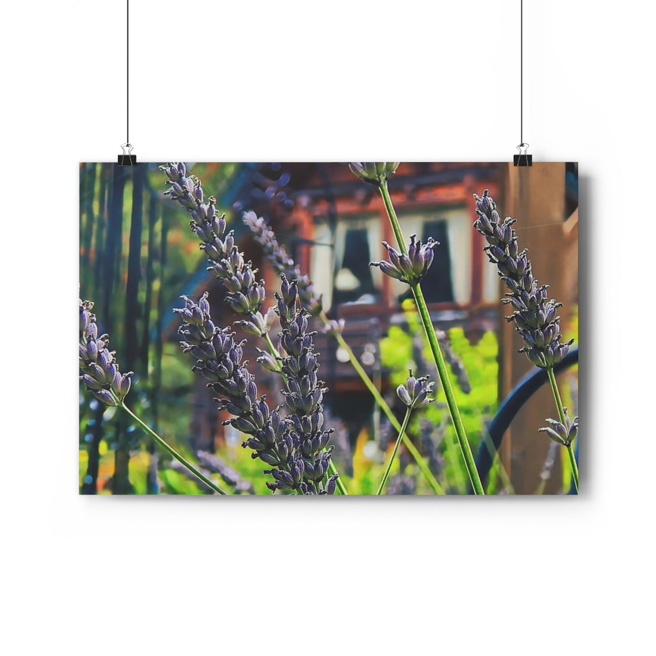 Lavender Dream - Giclee-Printed Fine Art Photographic Print on Museum Grade Paper