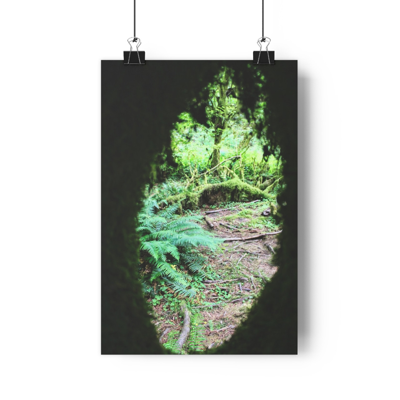 Secret Window - Giclee-Printed Fine Art Photographic Print on Museum Grade Paper