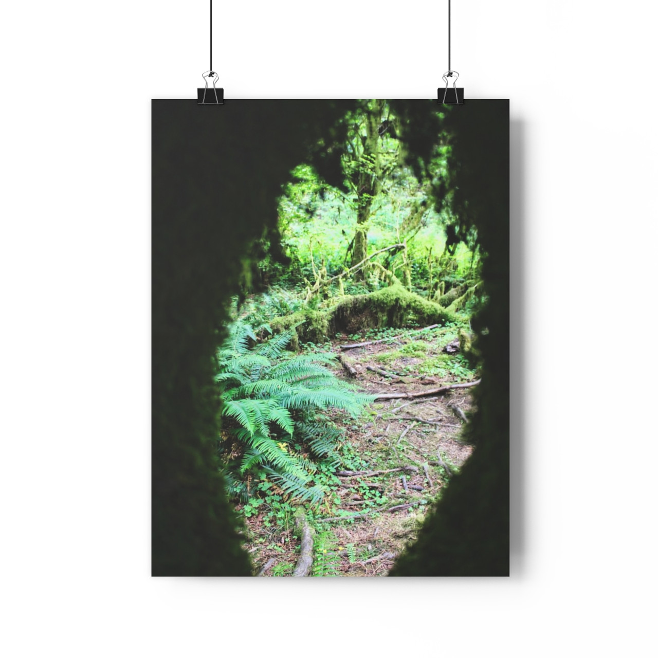 Secret Window - Giclee-Printed Fine Art Photographic Print on Museum Grade Paper