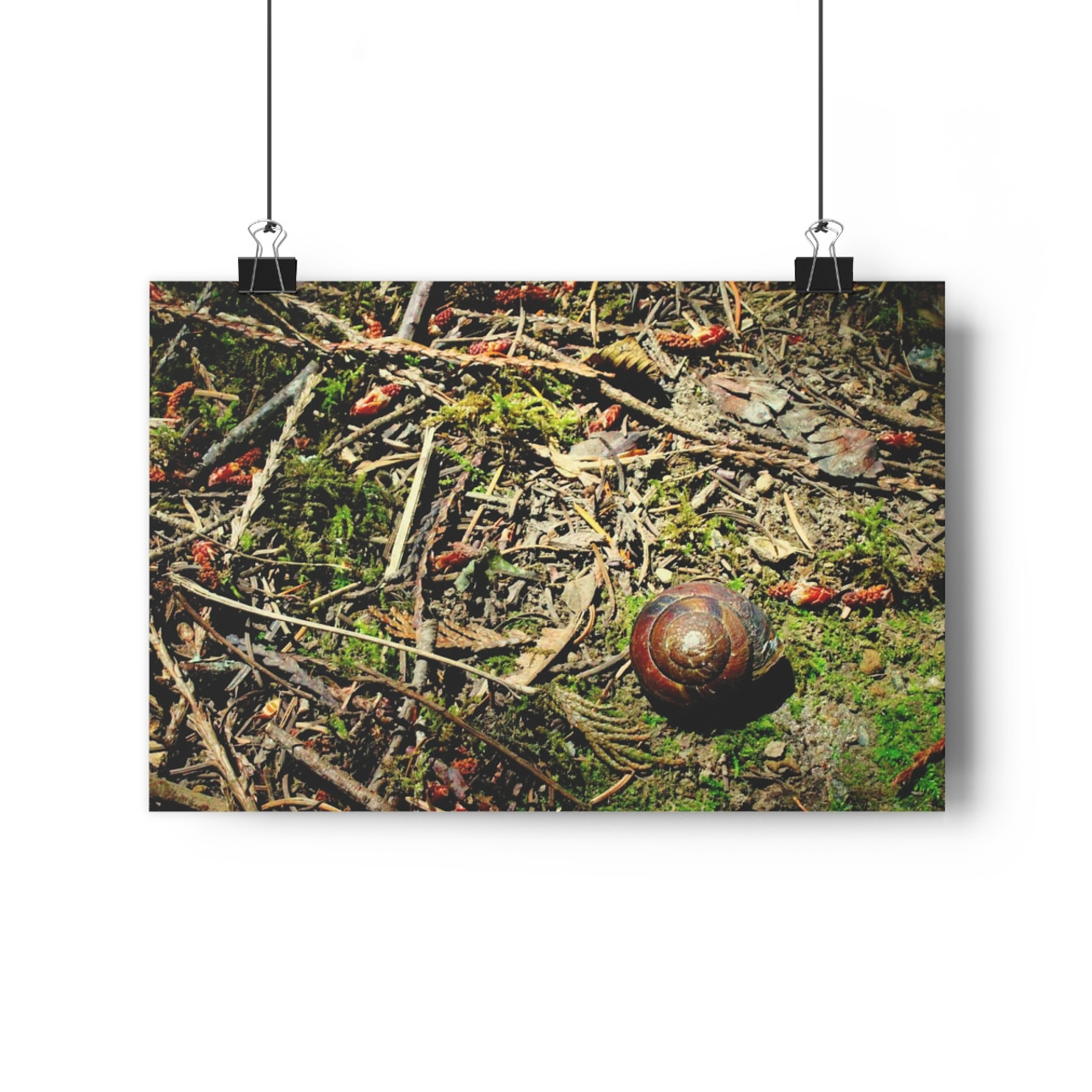 The Slow Lane - Giclee-Printed Fine Art Photographic Print on Museum Grade Paper