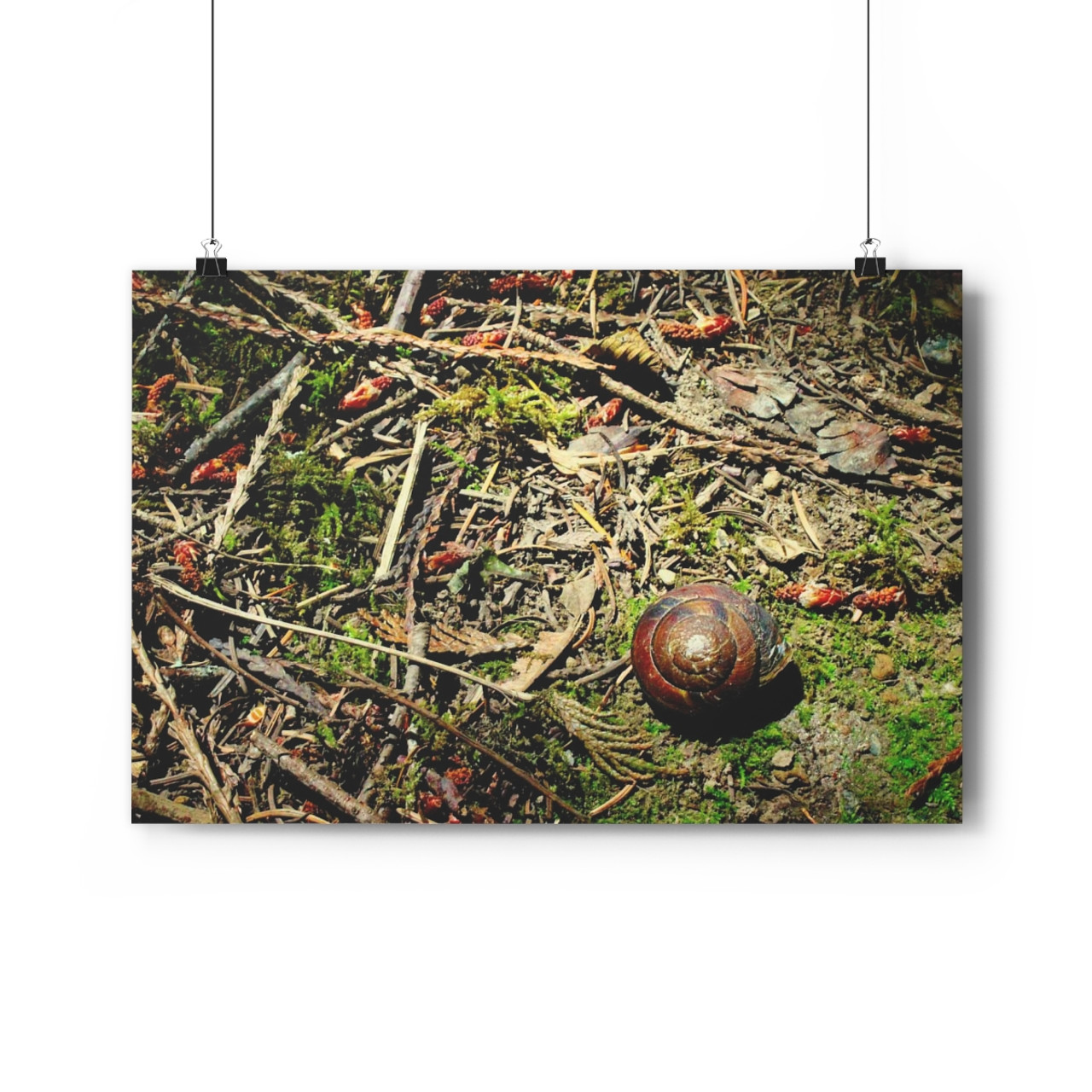 The Slow Lane - Giclee-Printed Fine Art Photographic Print on Museum Grade Paper