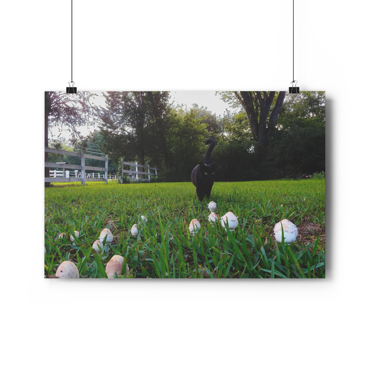 Fairy Ring - Giclee-Printed Fine Art Photographic Print on Museum Grade Paper