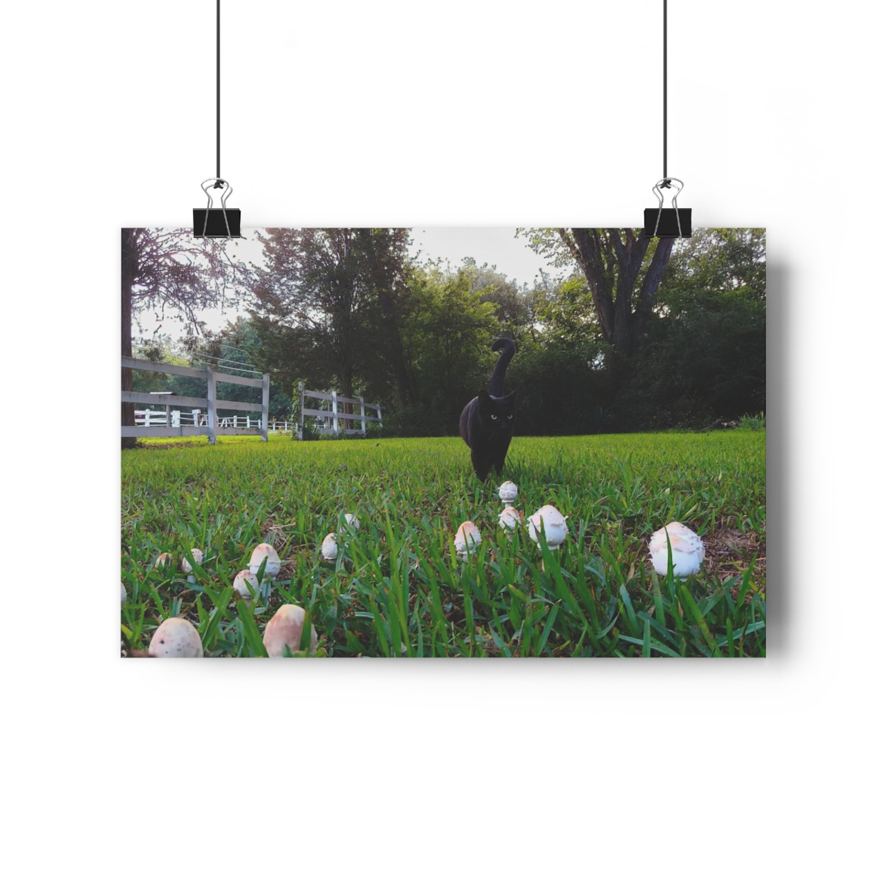 Fairy Ring - Giclee-Printed Fine Art Photographic Print on Museum Grade Paper
