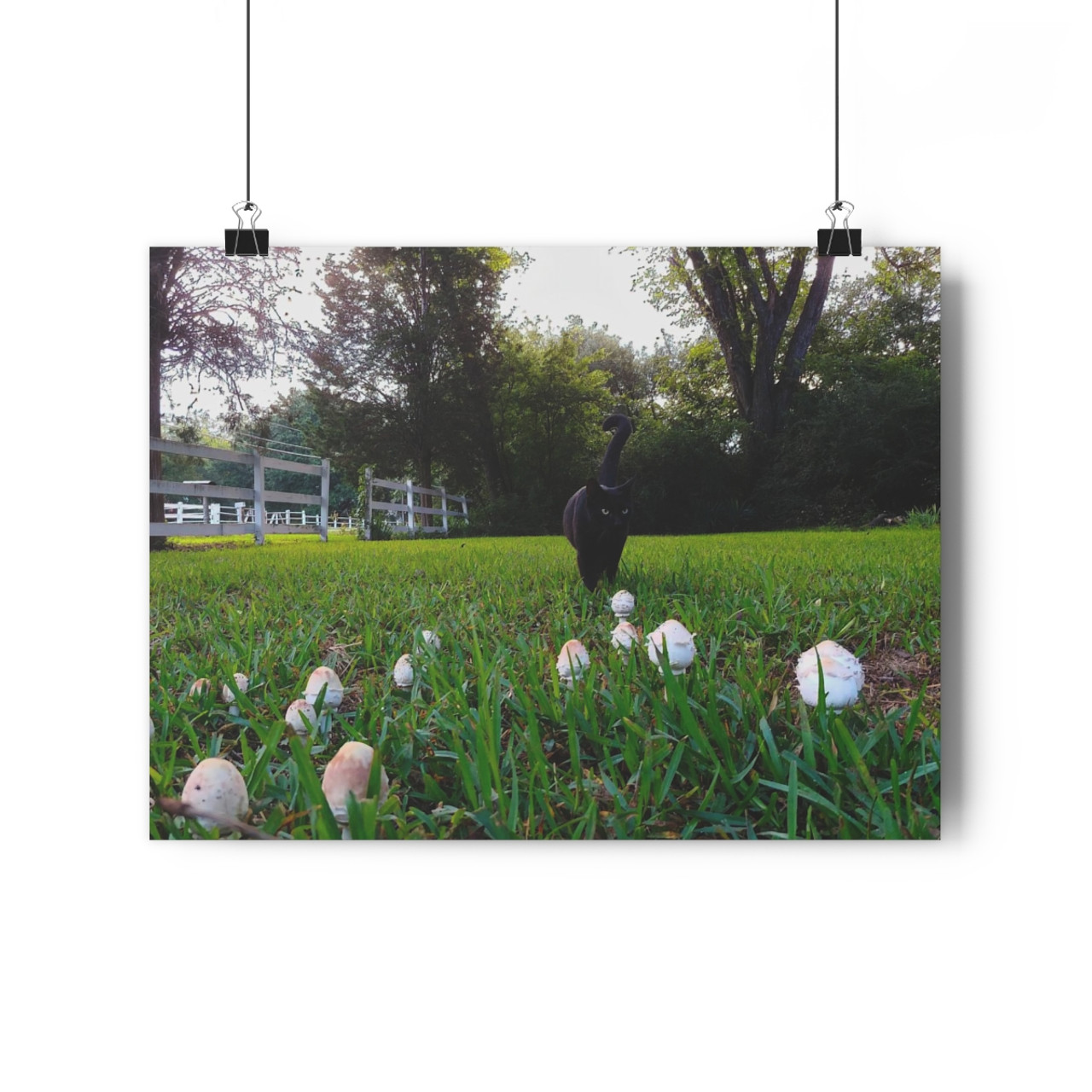 Fairy Ring - Giclee-Printed Fine Art Photographic Print on Museum Grade Paper