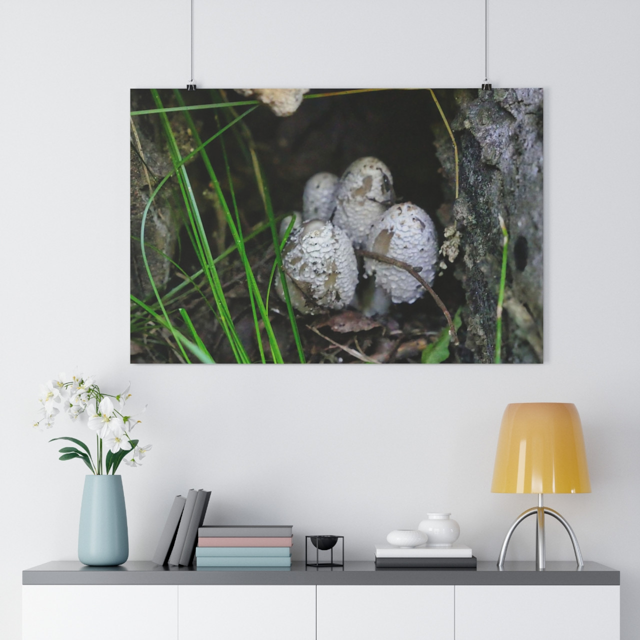 Shroomies - Giclee-Printed Fine Art Photographic Print on Museum Grade Paper