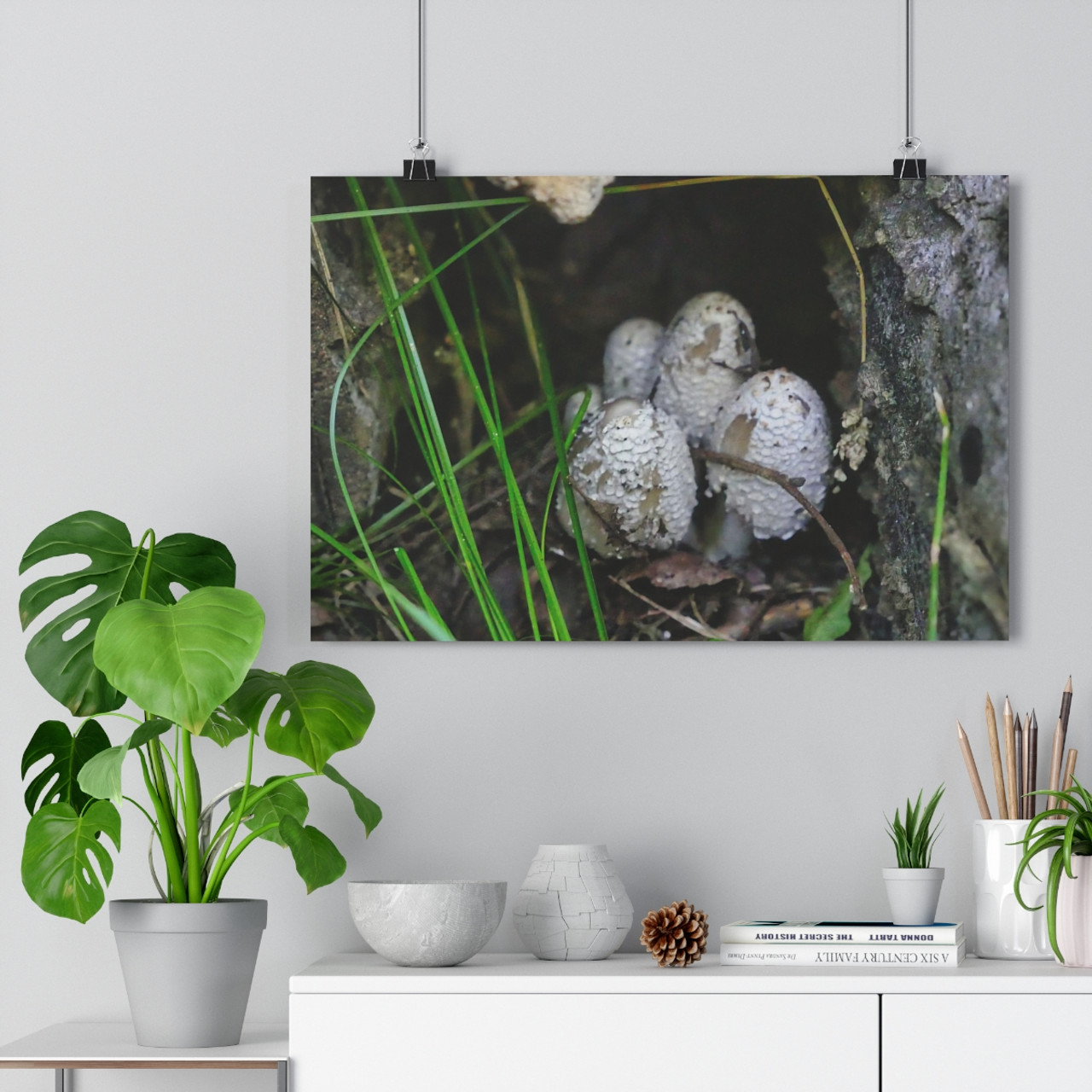 Shroomies - Giclee-Printed Fine Art Photographic Print on Museum Grade Paper