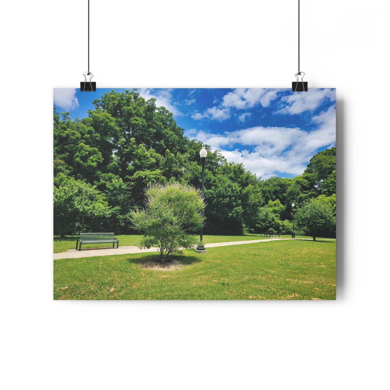 Day at the Park - Giclee-Printed Fine Art Photographic Print on Museum Grade Paper