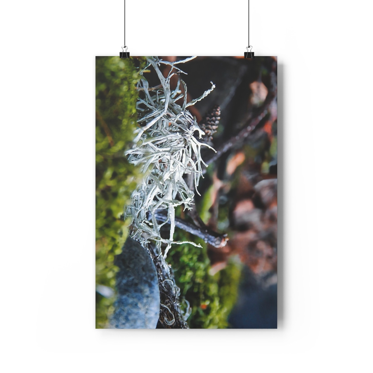 Lichen It - Giclee-Printed Fine Art Photographic Print on Museum Grade Paper