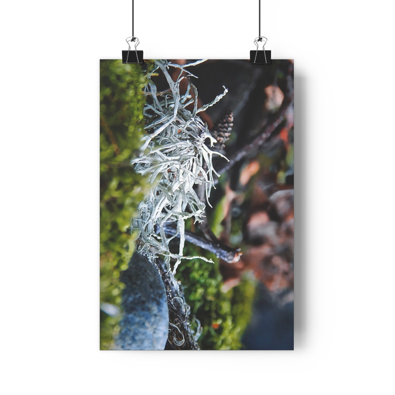 Lichen It - Giclee-Printed Fine Art Photographic Print on Museum Grade Paper