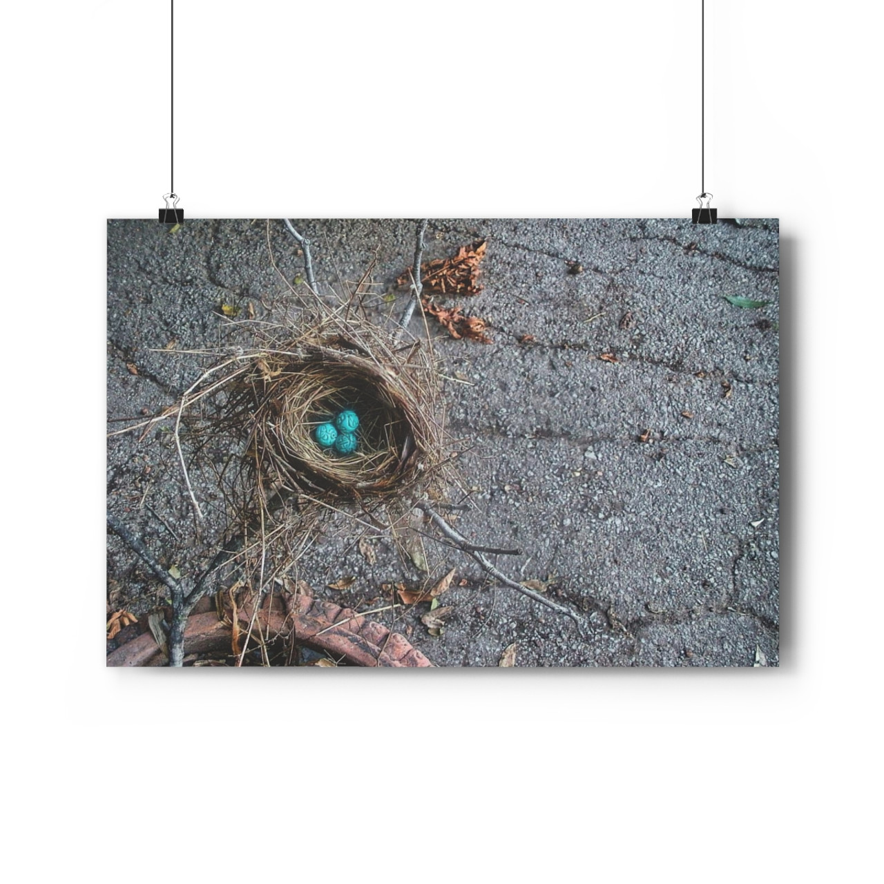 Urban Nest - Giclee-Printed Fine Art Photographic Print on Museum Grade Paper