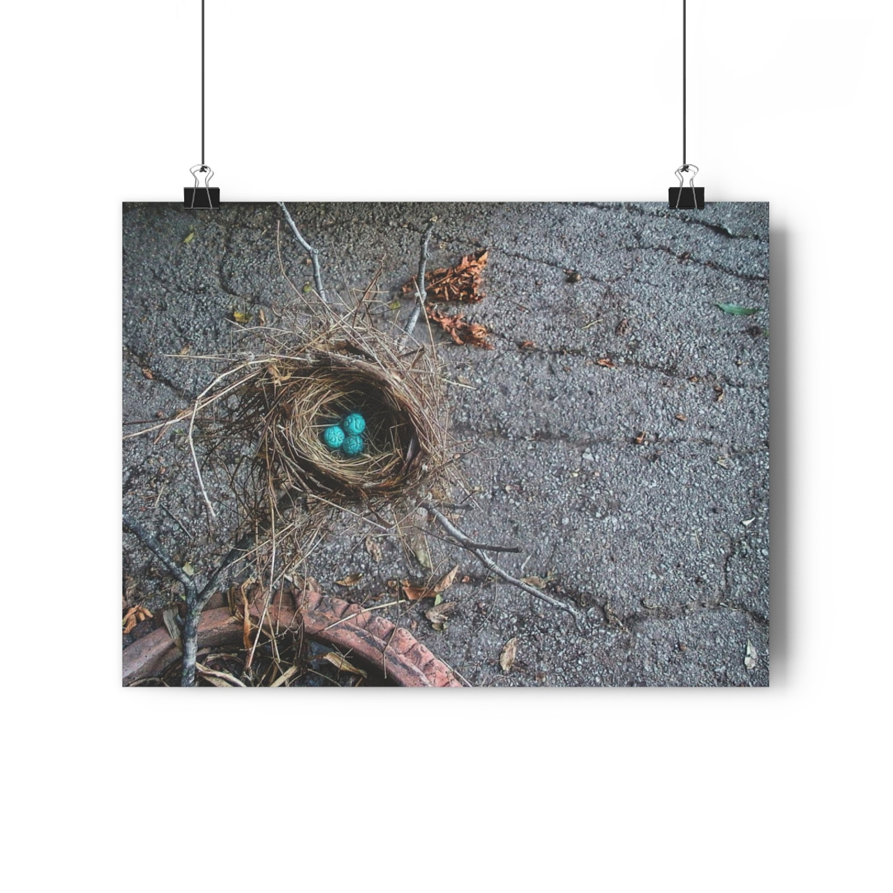 Urban Nest - Giclee-Printed Fine Art Photographic Print on Museum Grade Paper
