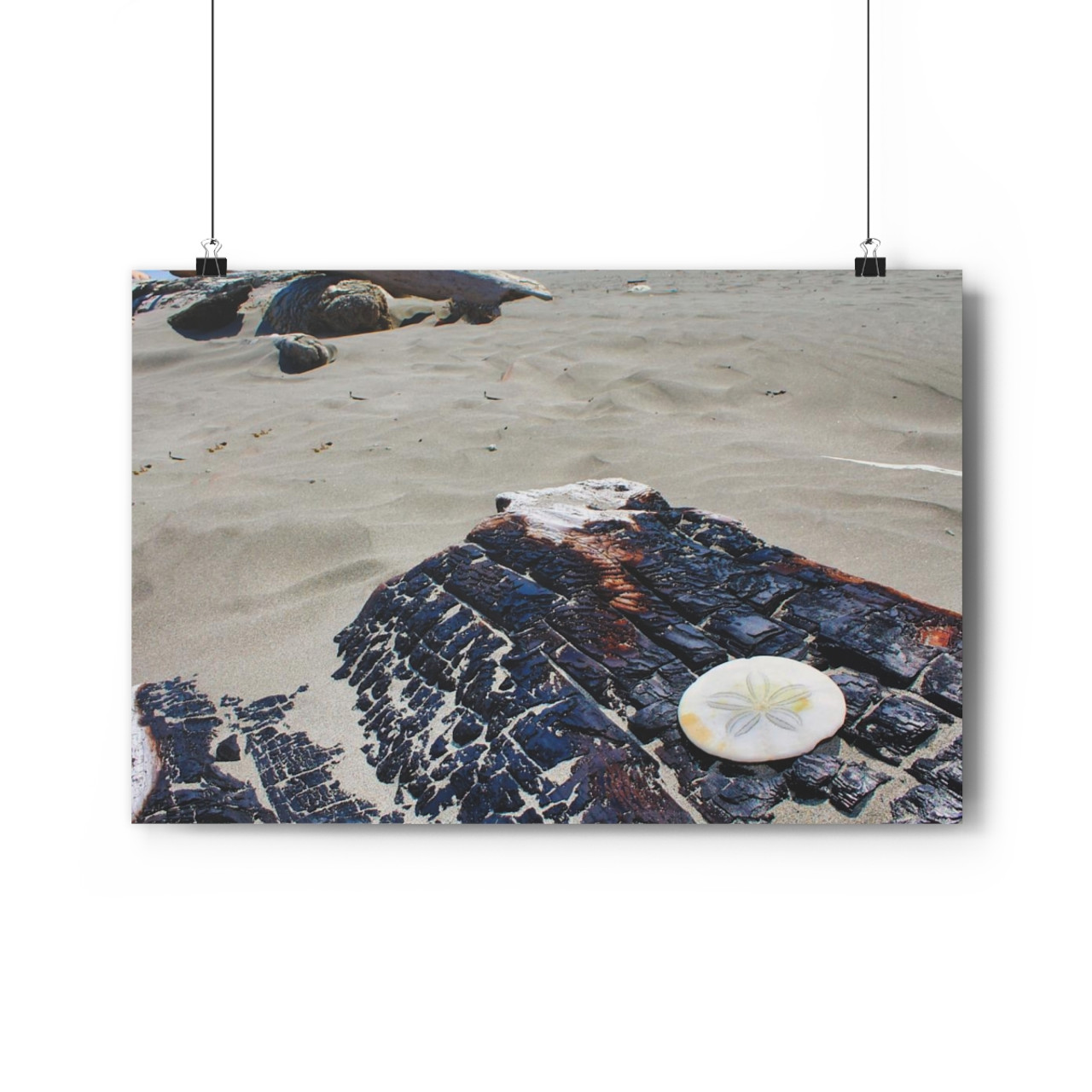 Just a Dollar - Giclee-Printed Fine Art Photographic Print on Museum Grade Paper