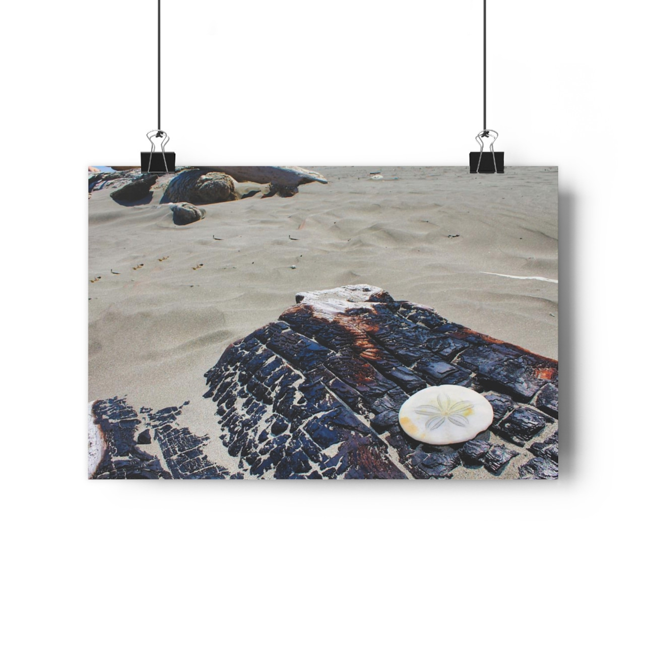 Just a Dollar - Giclee-Printed Fine Art Photographic Print on Museum Grade Paper