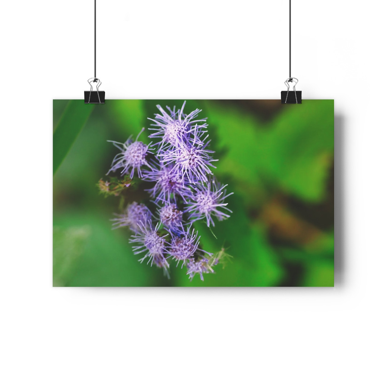 Blue Mist - Giclee-Printed Fine Art Photographic Print on Museum Grade Paper