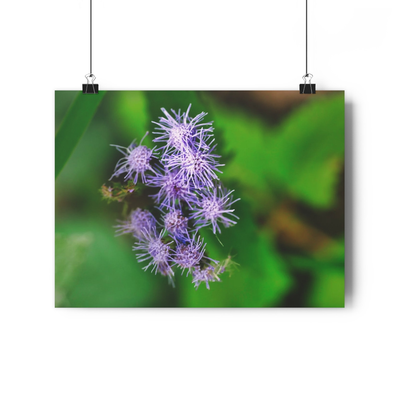 Blue Mist - Giclee-Printed Fine Art Photographic Print on Museum Grade Paper