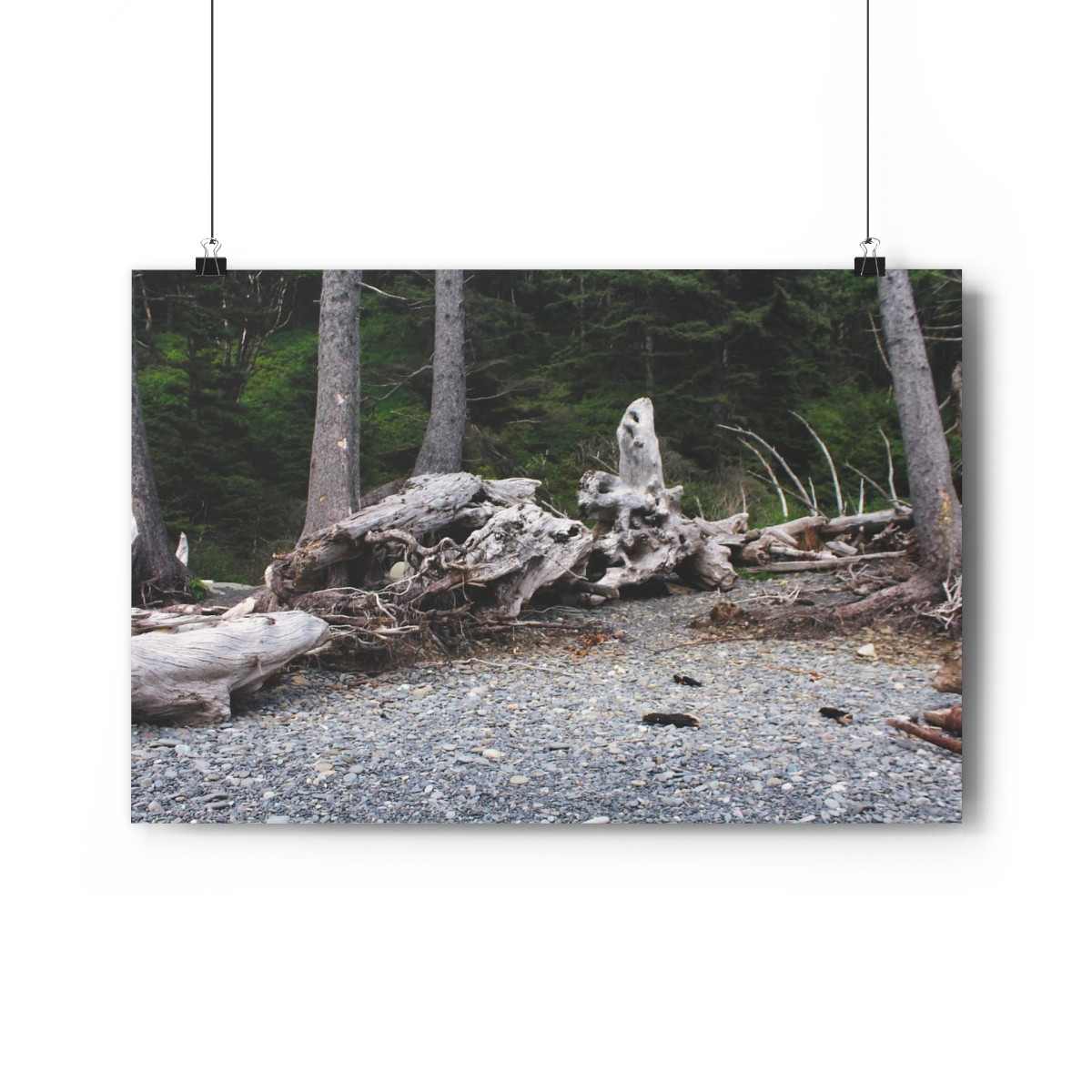 Bones of Giants - Giclee-Printed Fine Art Photographic Print on Museum Grade Paper