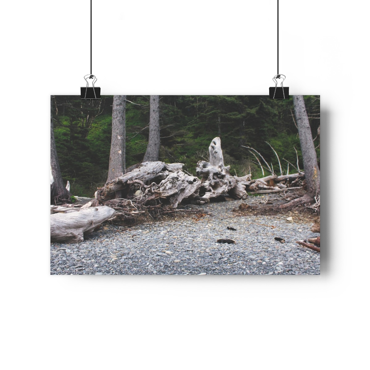 Bones of Giants - Giclee-Printed Fine Art Photographic Print on Museum Grade Paper