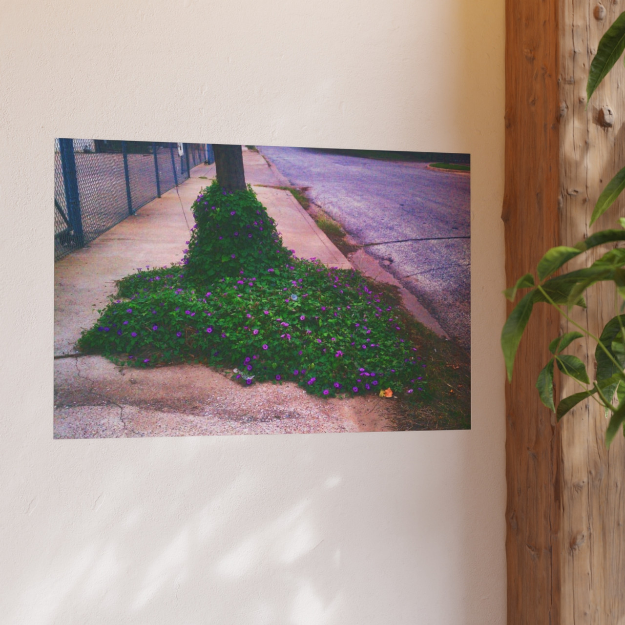 Glory of the Morning - Photographic Print