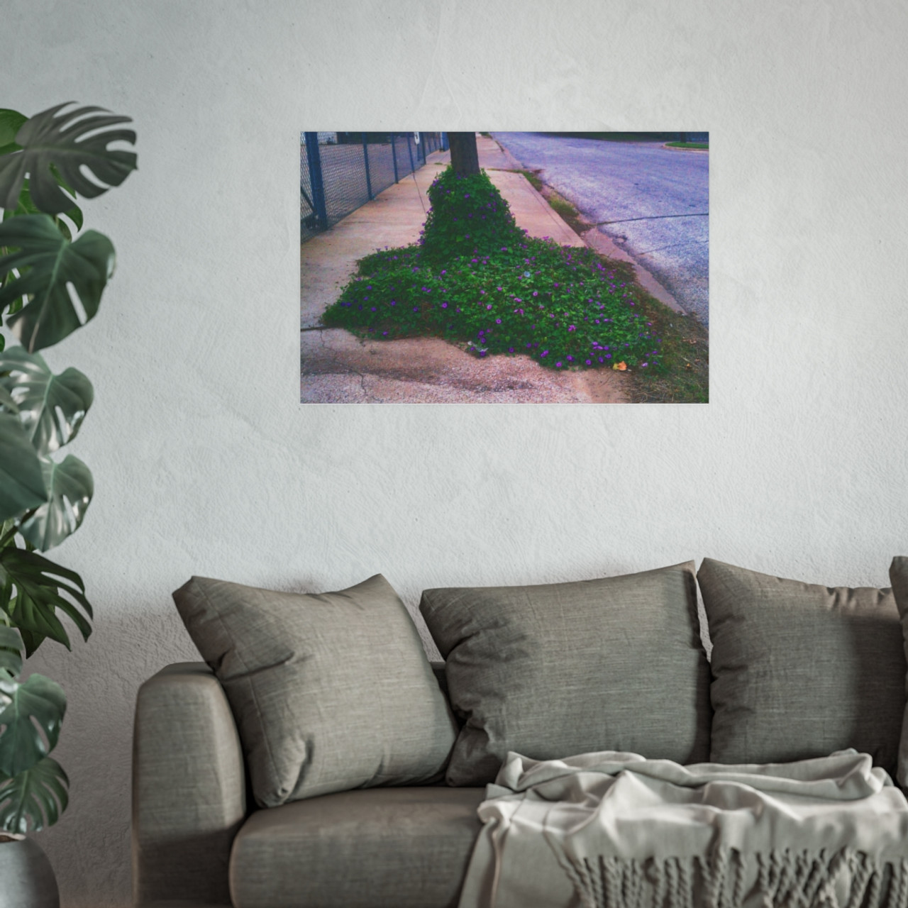 Glory of the Morning - Photographic Print