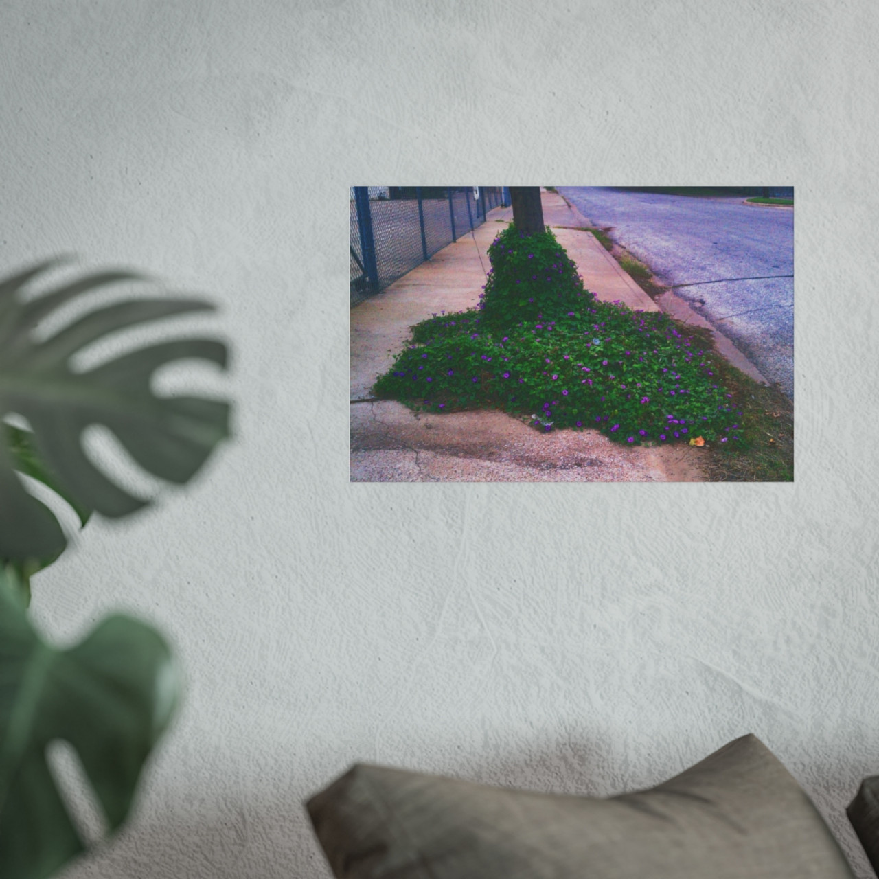 Glory of the Morning - Photographic Print