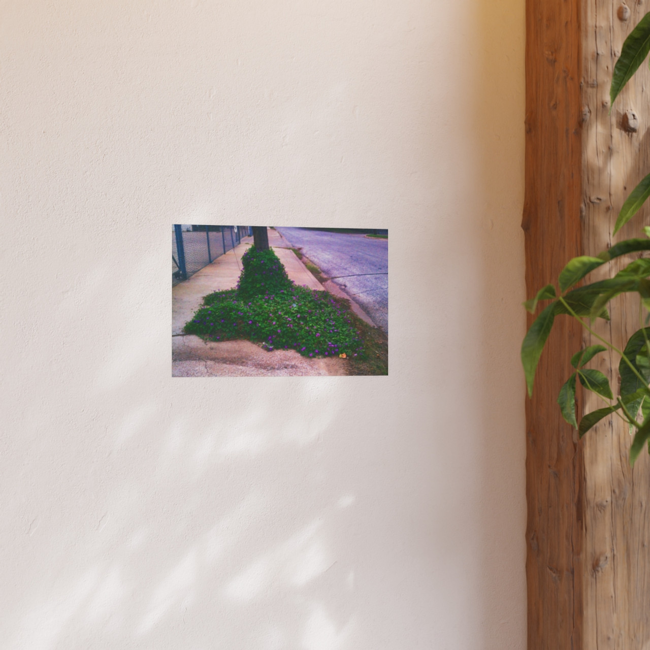 Glory of the Morning - Photographic Print