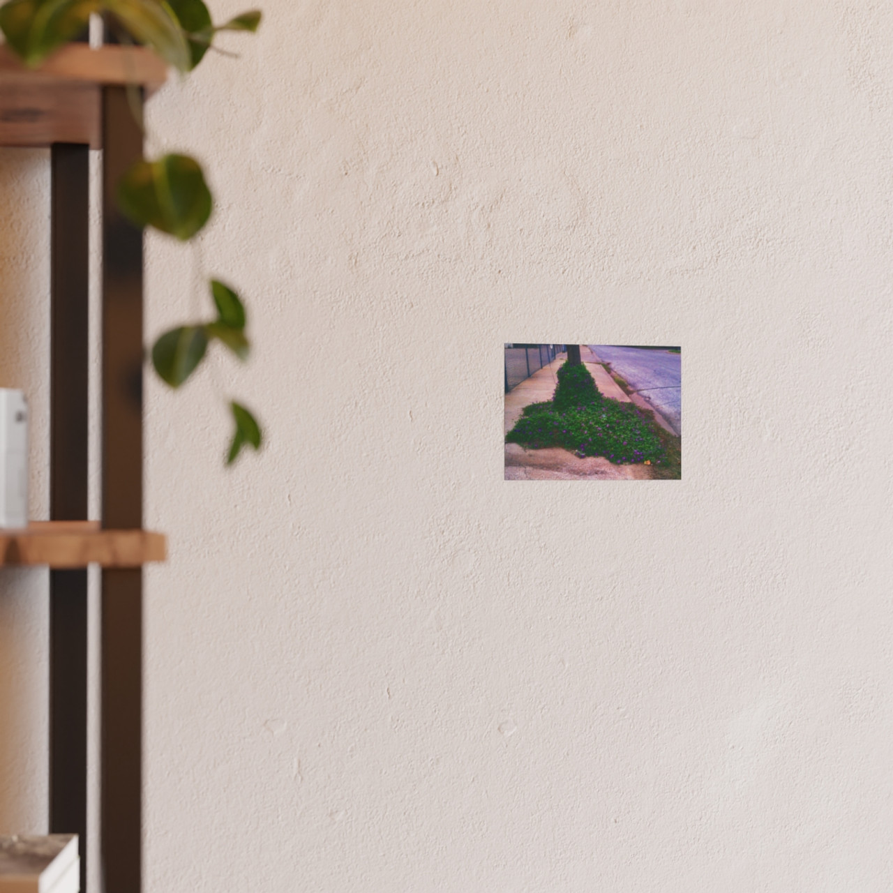 Glory of the Morning - Photographic Print