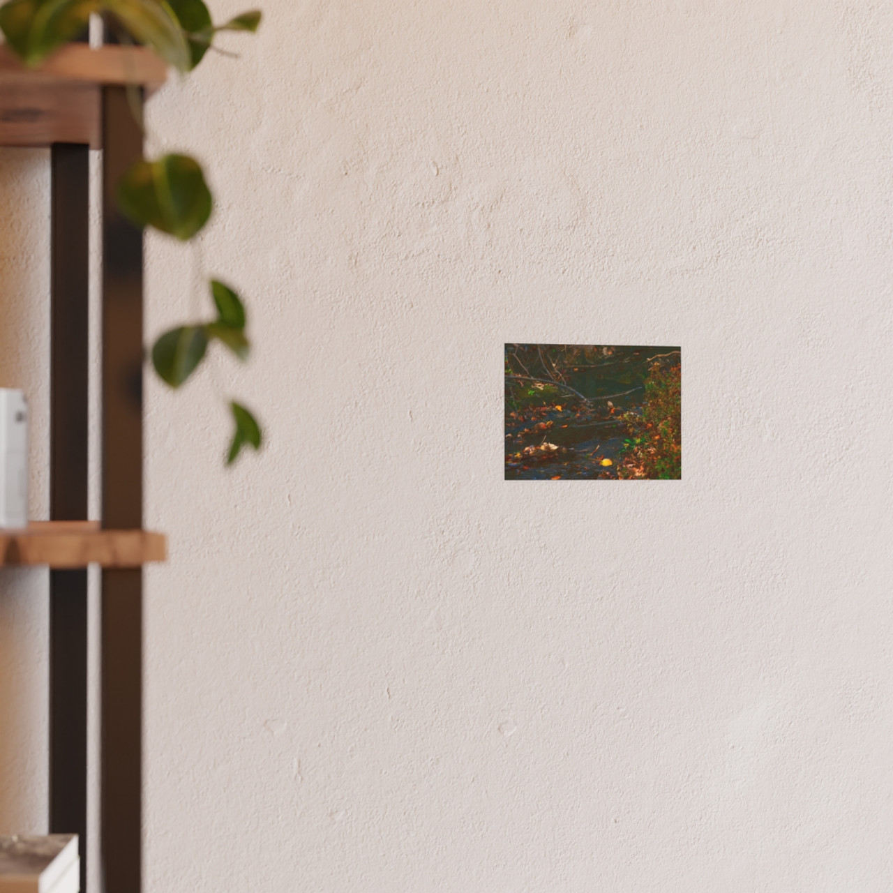 Murmuring Brook - Photographic Print