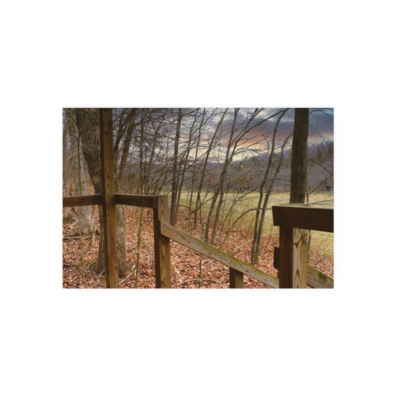 Ozark Fall - Photographic Print