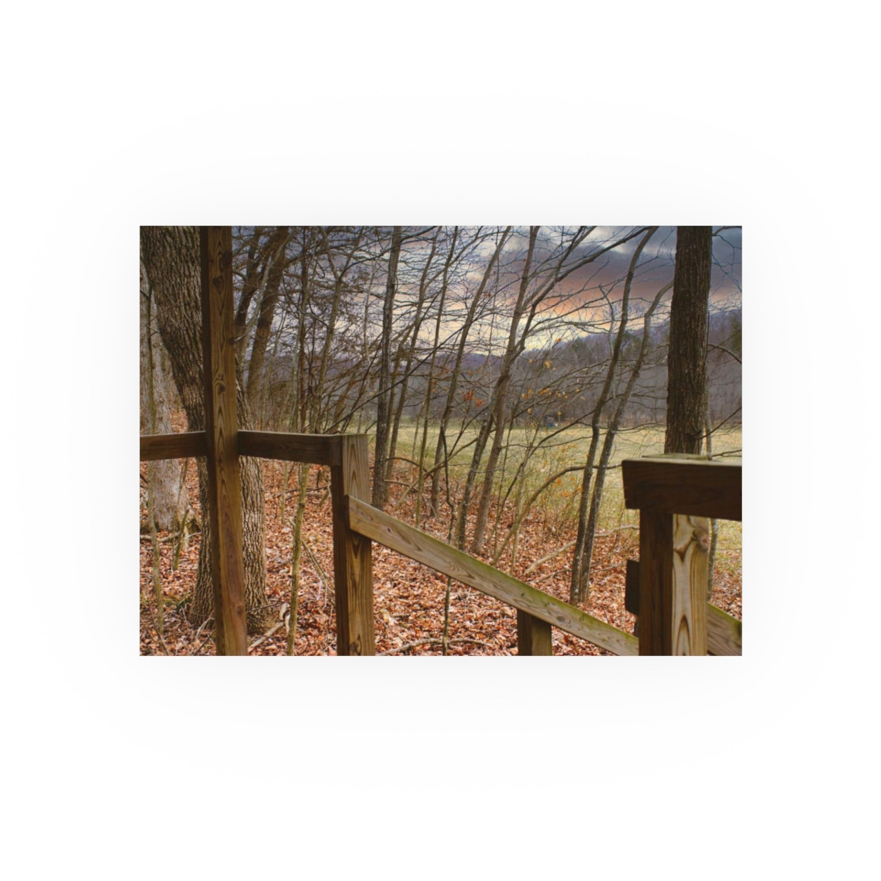 Ozark Fall - Photographic Print