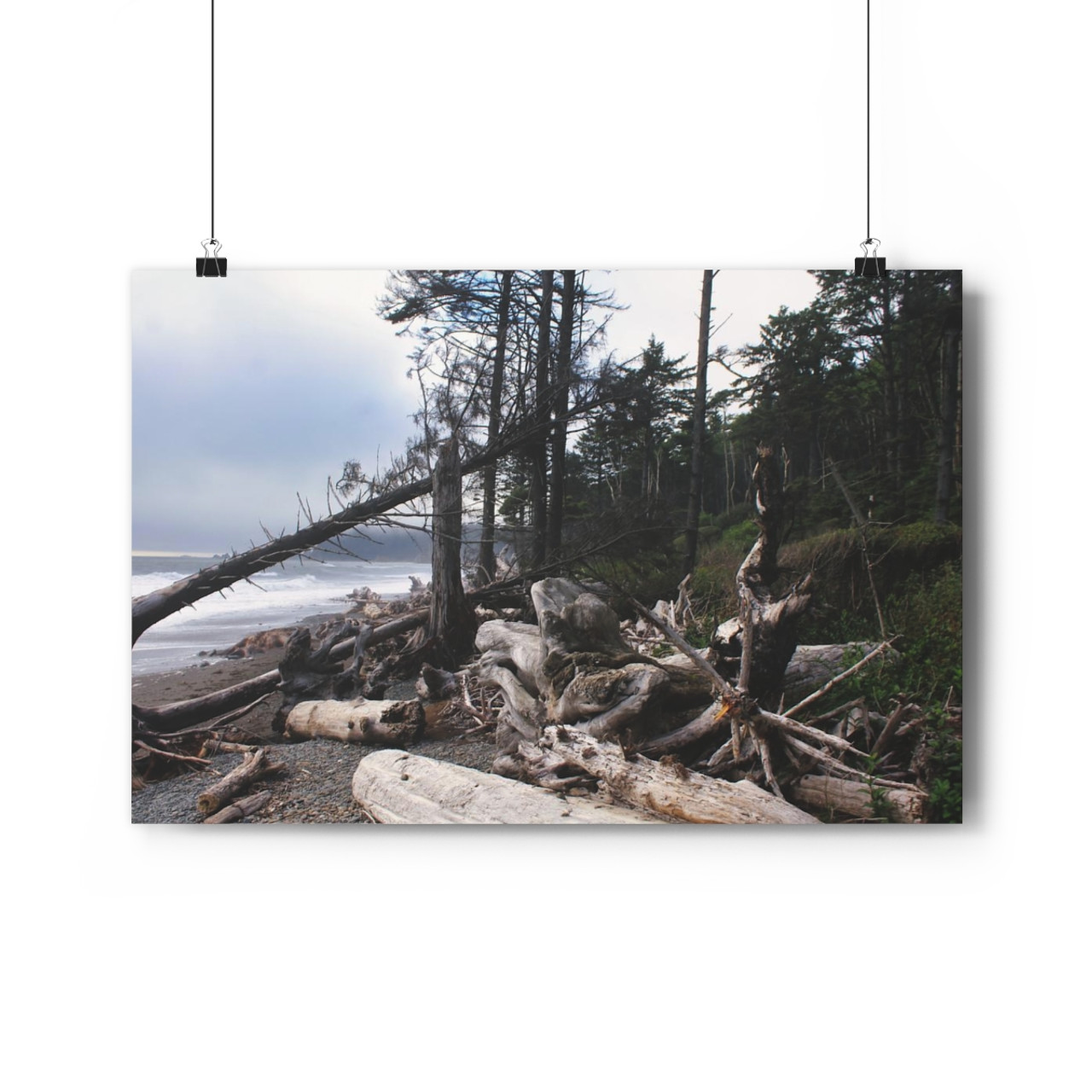 Quillayute Coast - Giclee-Printed Fine Art Photographic Print on Museum Grade Paper