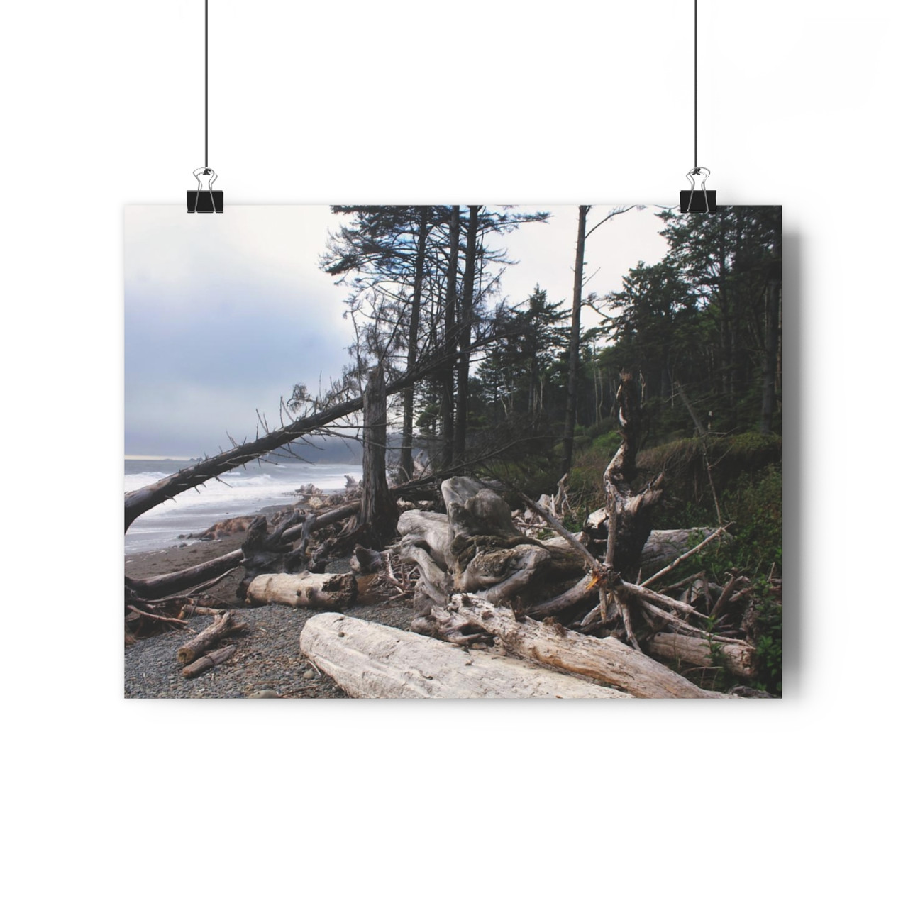 Quillayute Coast - Giclee-Printed Fine Art Photographic Print on Museum Grade Paper