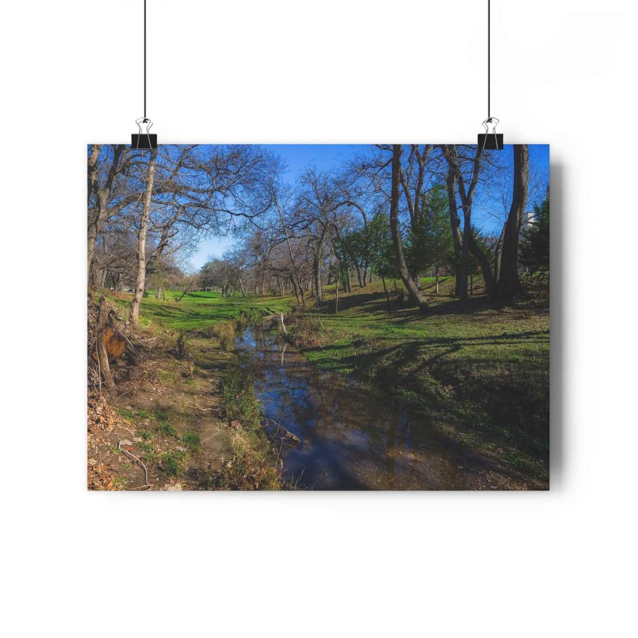 Reverchon Park - Giclee-Printed Fine Art Photographic Print on Museum Grade Paper