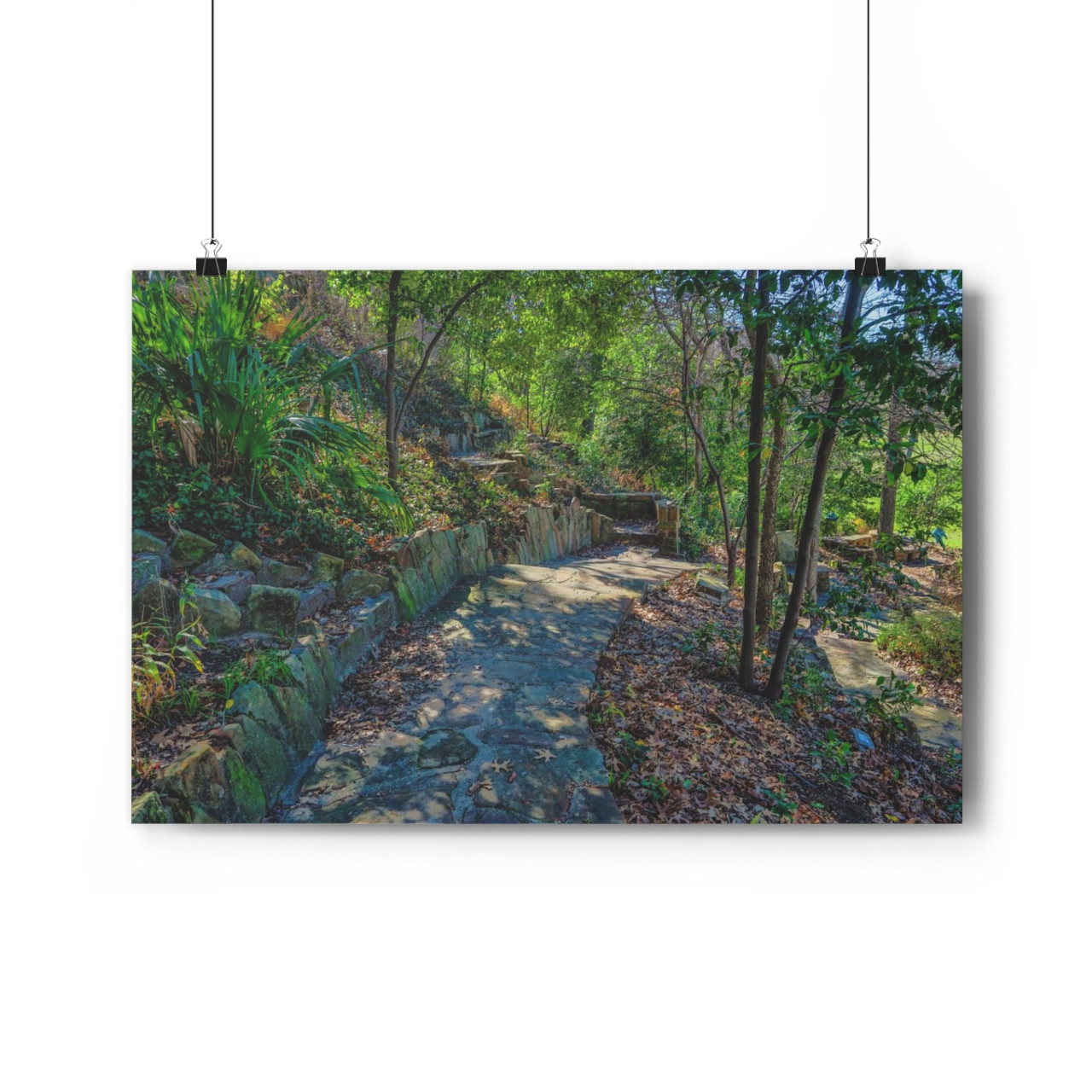 Reverchon Road - Giclee-Printed Fine Art Photographic Print on Museum Grade Paper
